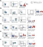 CD25 Antibody in Flow Cytometry (Flow)