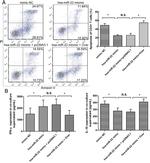 CD3 Antibody in Flow Cytometry (Flow)