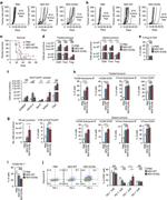 CD279 (PD-1) Antibody in Flow Cytometry (Flow)