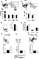 CD45R (B220) Antibody in Flow Cytometry (Flow)