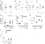 CD3e Antibody in Flow Cytometry (Flow)