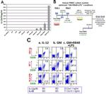 CD33 Antibody in Flow Cytometry (Flow)