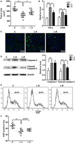 Ki-67 Antibody in Flow Cytometry (Flow)