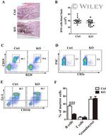 CD45R (B220) Antibody in Flow Cytometry (Flow)