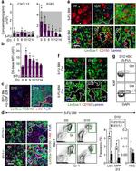 Ki-67 Antibody in Flow Cytometry (Flow)