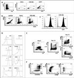 CD27 Antibody in Flow Cytometry (Flow)