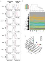 NK1.1 Antibody in Flow Cytometry (Flow)