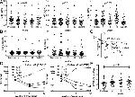 FOXP3 Antibody in Flow Cytometry, Radioimmune assays (Flow, RIA)
