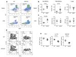 Ly-6C Antibody in Flow Cytometry (Flow)