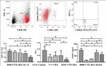 CD8a Antibody in Flow Cytometry (Flow)