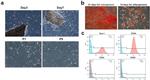 Ly-6A/E (Sca-1) Antibody in Flow Cytometry (Flow)