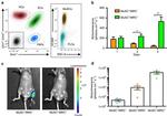 CD45 Antibody in Flow Cytometry (Flow)