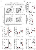 Gata-3 Antibody in Flow Cytometry (Flow)