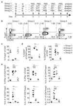 CD90.1 (Thy-1.1) Antibody in Flow Cytometry (Flow)