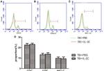 CD4 Antibody in Flow Cytometry (Flow)