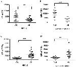 TCR V delta 1 Antibody in Flow Cytometry (Flow)