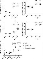 CD107a (LAMP-1) Antibody in Flow Cytometry (Flow)