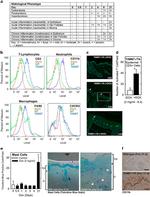 F4/80 Antibody in Flow Cytometry (Flow)