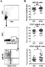 CD27 Antibody in Flow Cytometry (Flow)