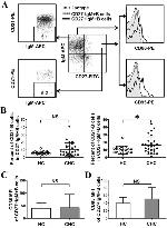 CD86 (B7-2) Antibody in Flow Cytometry (Flow)