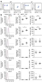 CD31 (PECAM-1) Antibody in Flow Cytometry (Flow)