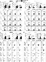 CD8a Antibody in Flow Cytometry (Flow)