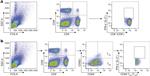 IL-2 Antibody in Flow Cytometry (Flow)