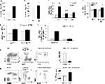 CD115 (c-fms) Antibody in Flow Cytometry (Flow)