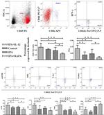 EOMES Antibody in Flow Cytometry (Flow)