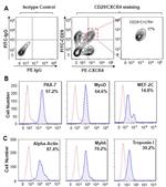 CD29 (Integrin beta 1) Antibody in Flow Cytometry (Flow)