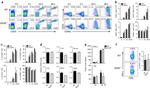 CD8a Antibody in Flow Cytometry (Flow)