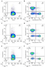 CD80 (B7-1) Antibody in Flow Cytometry (Flow)