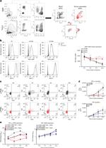 LAMP5 (BAD-LAMP) Antibody in Flow Cytometry (Flow)