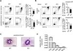 Ly-6G/Ly-6C Antibody in Flow Cytometry (Flow)