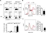 Ly-6G/Ly-6C Antibody in Flow Cytometry (Flow)