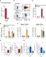 ST2 Antibody in Flow Cytometry (Flow)