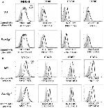 CD80 (B7-1) Antibody in Flow Cytometry (Flow)