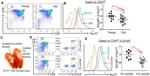 Nur77 Antibody in Flow Cytometry (Flow)