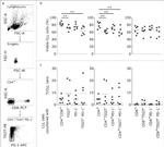 TIGIT Antibody in Flow Cytometry (Flow)