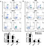 CD3 Antibody in Flow Cytometry (Flow)