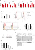 CD274 (PD-L1, B7-H1) Antibody in Flow Cytometry (Flow)