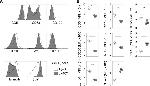 Aiolos Antibody in Flow Cytometry (Flow)