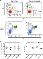 Ly-6G/Ly-6C Antibody in Flow Cytometry (Flow)