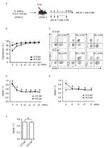 Ly-6G/Ly-6C Antibody in Flow Cytometry (Flow)