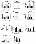 CD25 Antibody in Flow Cytometry (Flow)