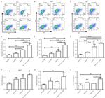 FOXP3 Antibody in Flow Cytometry (Flow)