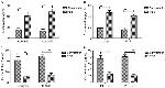 IDE Antibody in ELISA (ELISA)