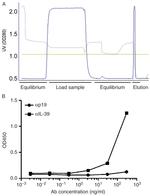 EBI3 (IL-27 subunit) Antibody in ELISA (ELISA)