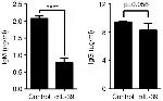 EBI3 (IL-27 subunit) Antibody in ELISA (ELISA)