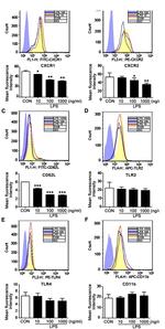 CD11b Antibody in Flow Cytometry (Flow)